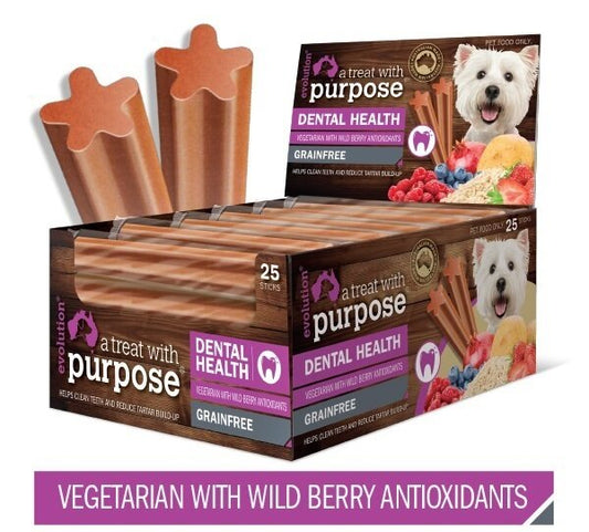 Evolution Dental Stick Vegetarian Wild Berry Antioxidants 20g