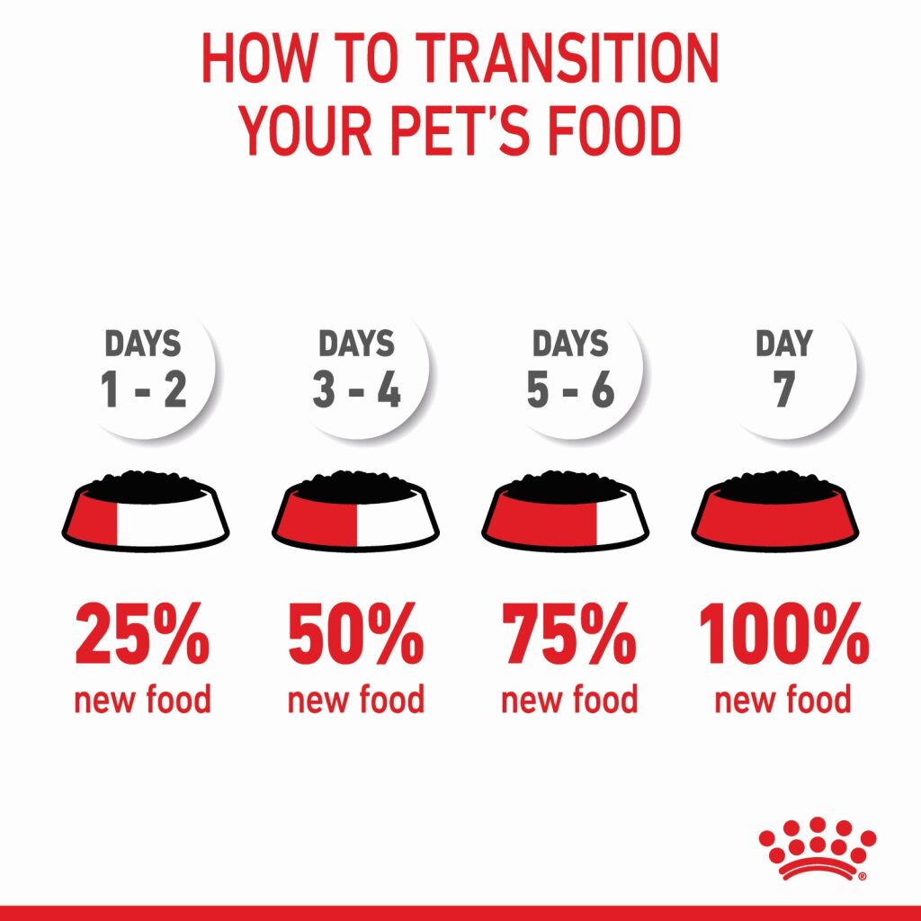 Royal Canin Medium Puppy Wet Food 140g