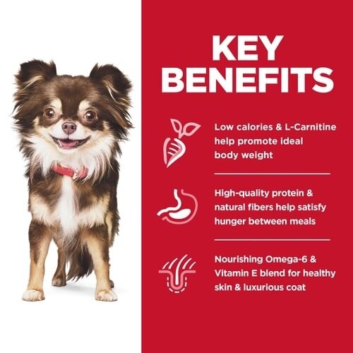 Hills Dog Small Breed Sensitive Stomach & Skin 1.81Kg