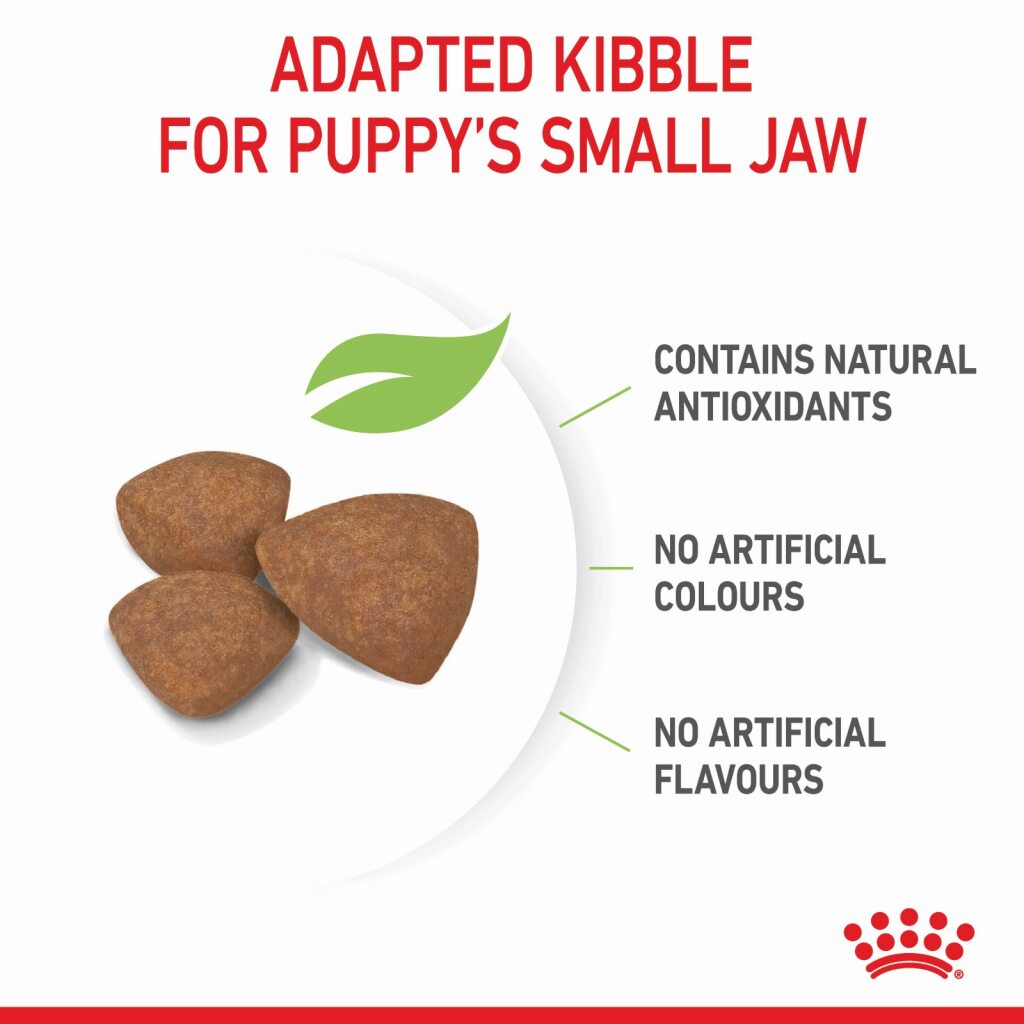 Royal Canin Dog Mini Puppy
