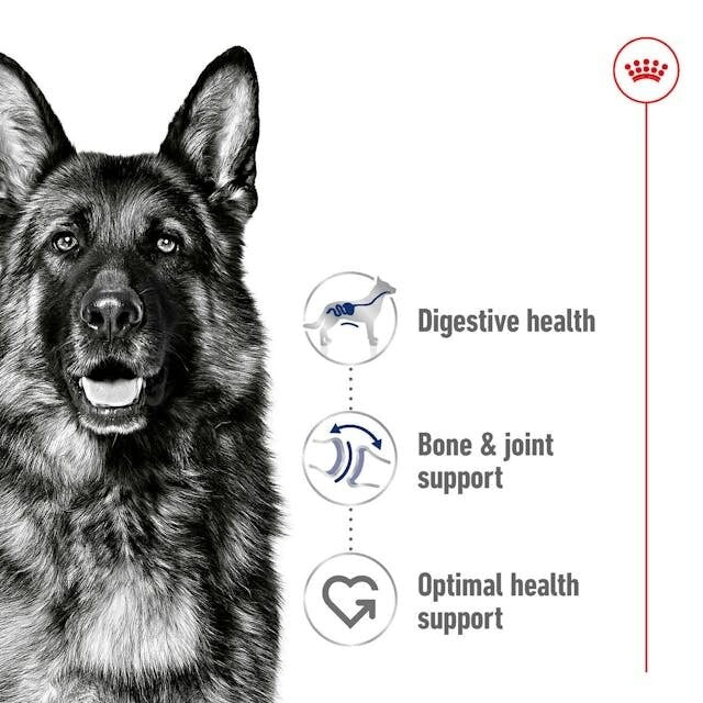 Royal Canin Dog Maxi Adult