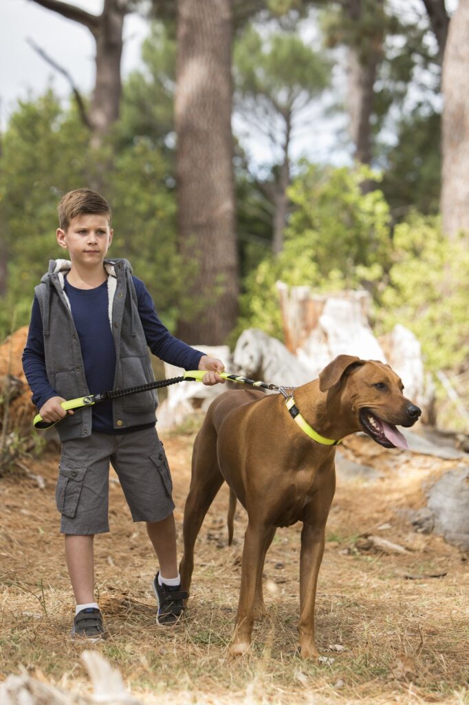 Control Dog Lead Dayglo Yellow  SNAKE - MEDIUM