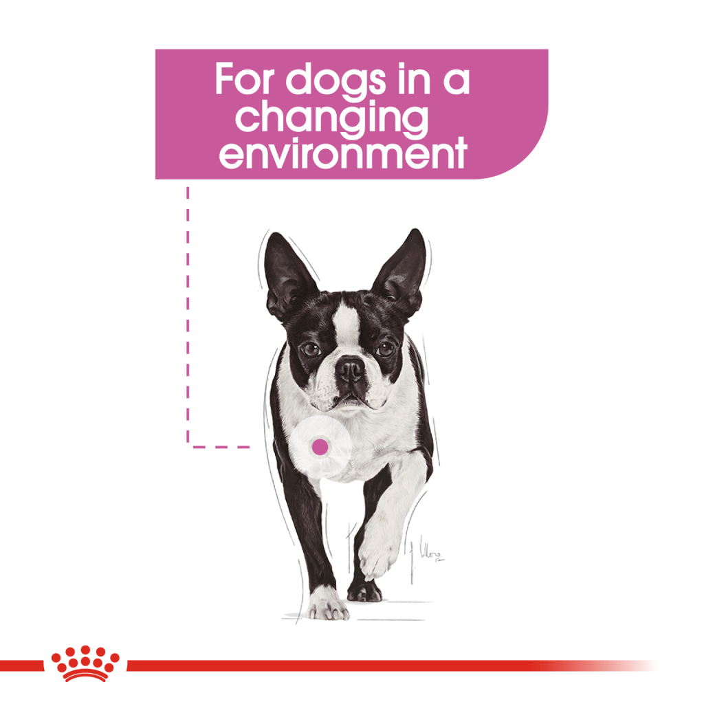 Royal Canin Canine Relax Wet Food 85g