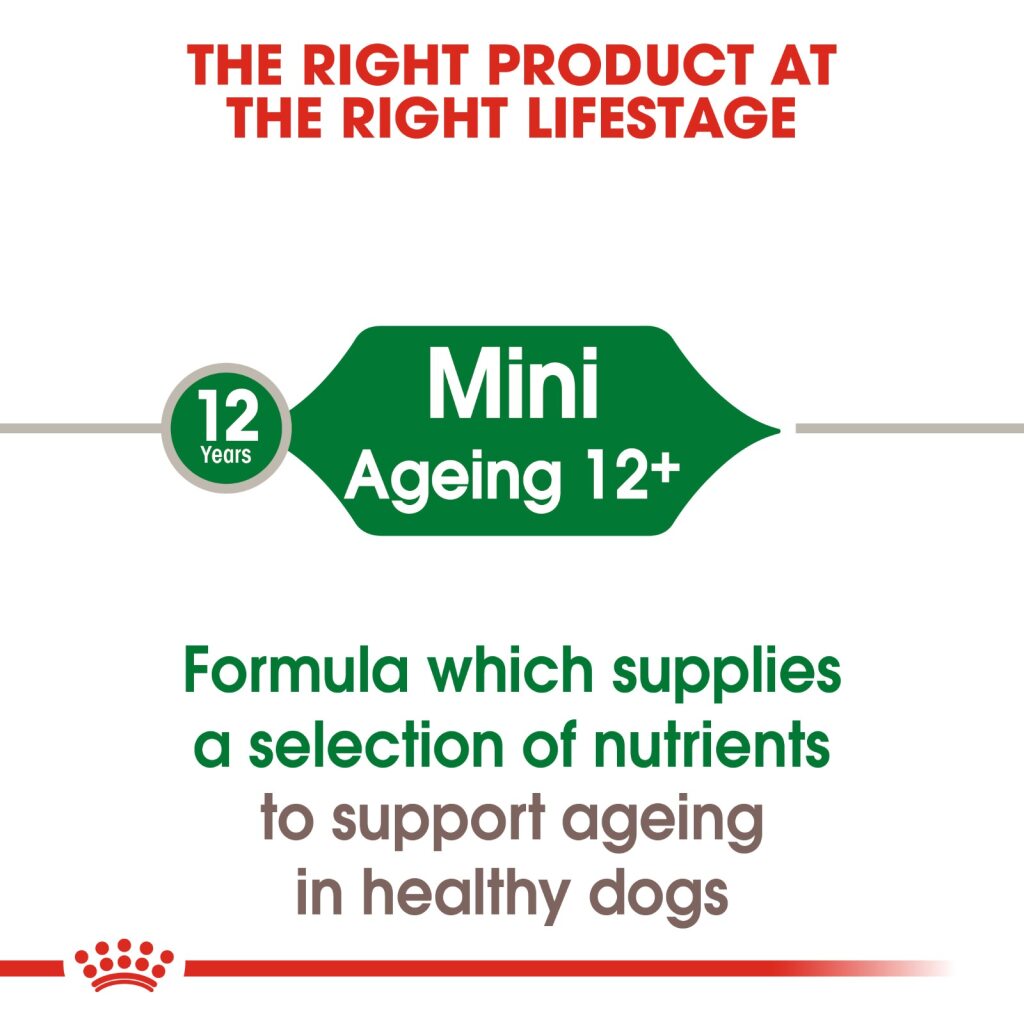 Royal Canin Mini Ageing Wet Food 85g
