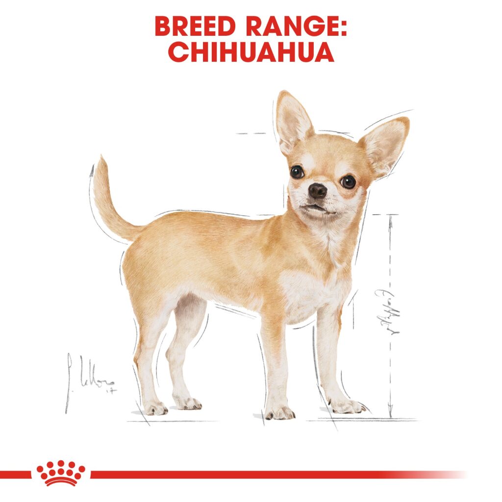 Royal Canin Dog Chihuahua 1.5kg