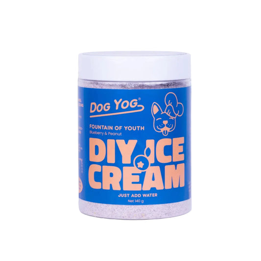 Dog Yog DIY Ice Cream Fountain of Youth