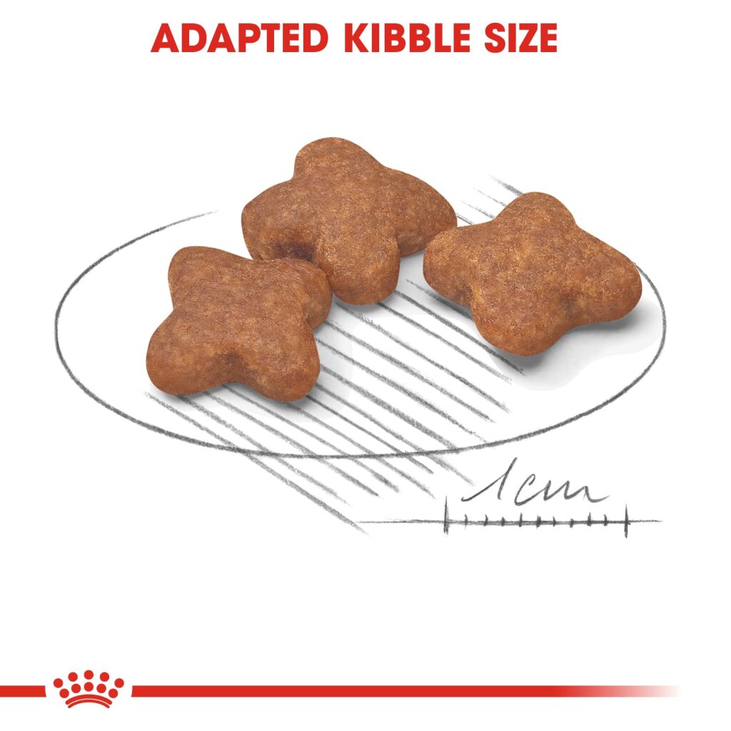 Royal Canin Dog Mini Mature 2kg