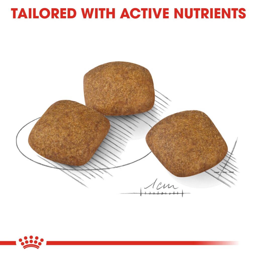 Royal Canin Dog Medium Relax Care 10kg
