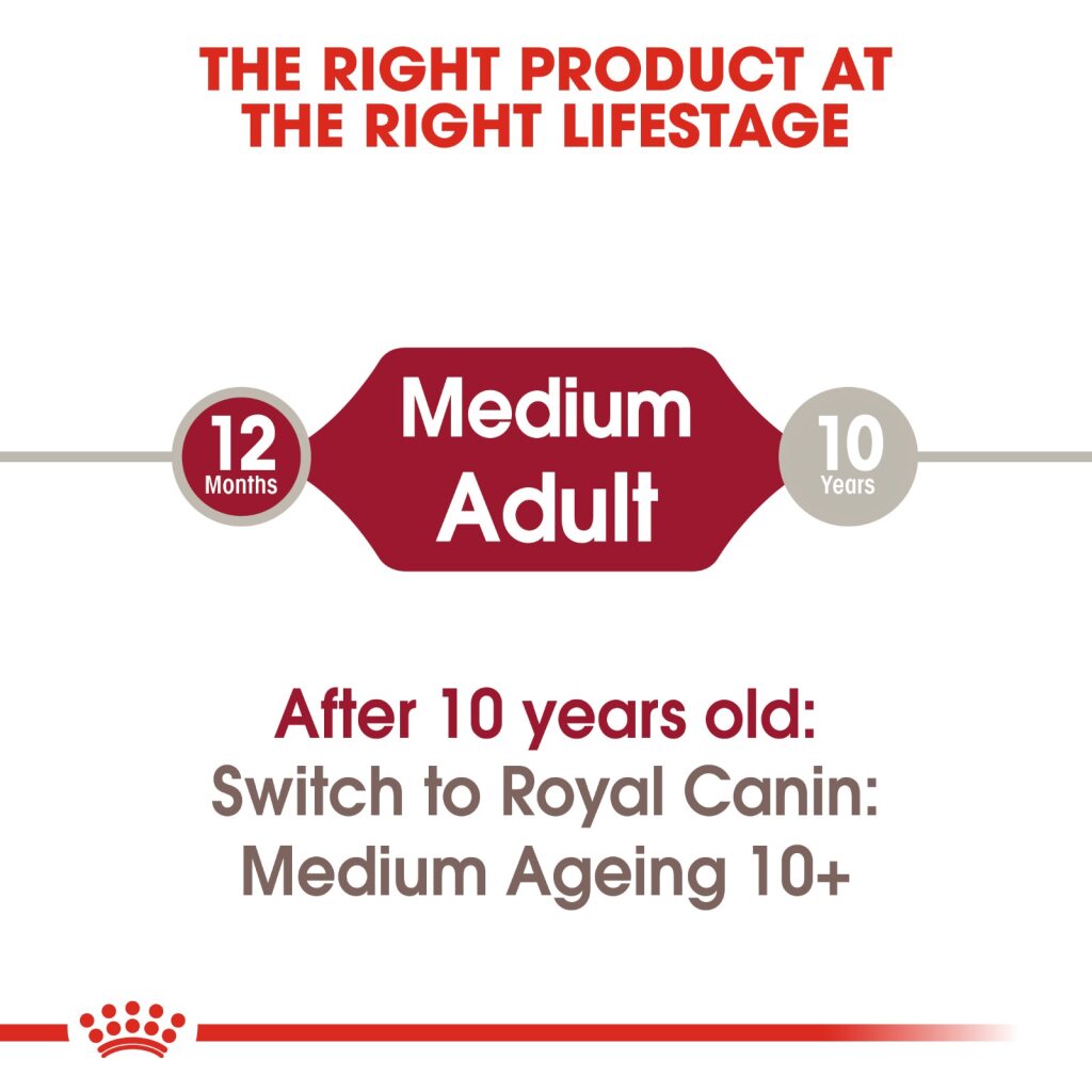 Royal Canin Medium Adult Wet Food 140g