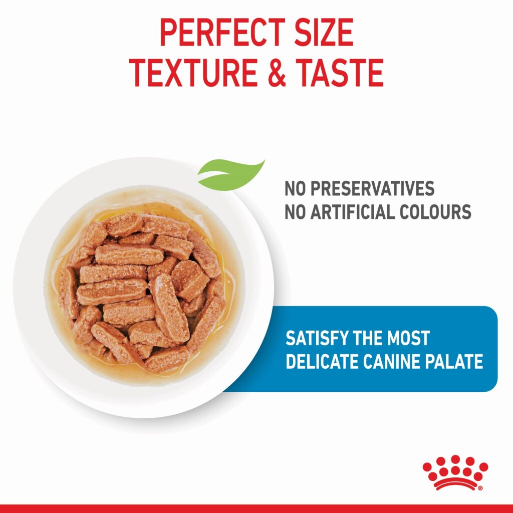 Royal Canin Medium Puppy Wet Food 140g