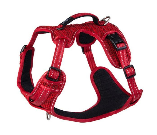 Explore Dog Harness Red  SMALL