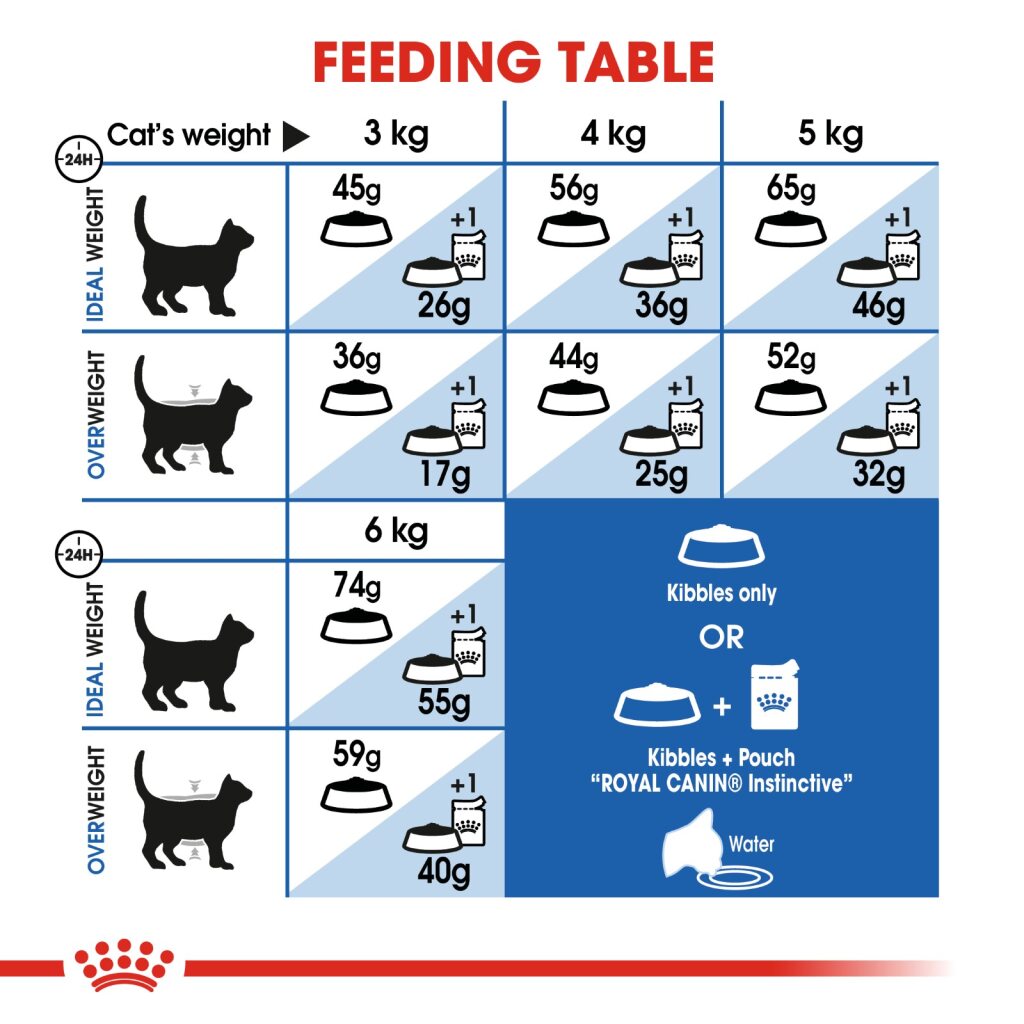 Royal Canin Feline Indoor