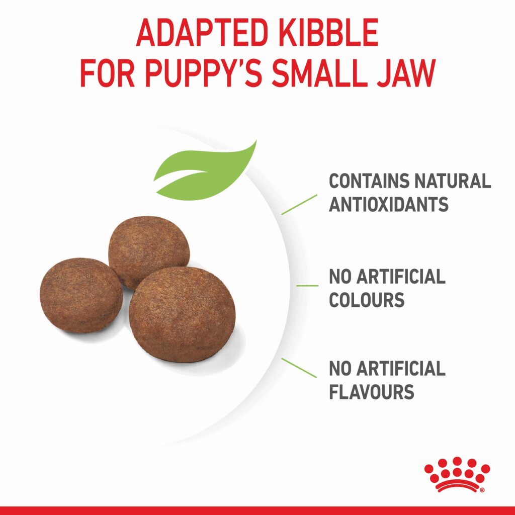 Royal Canin Dog Medium Puppy