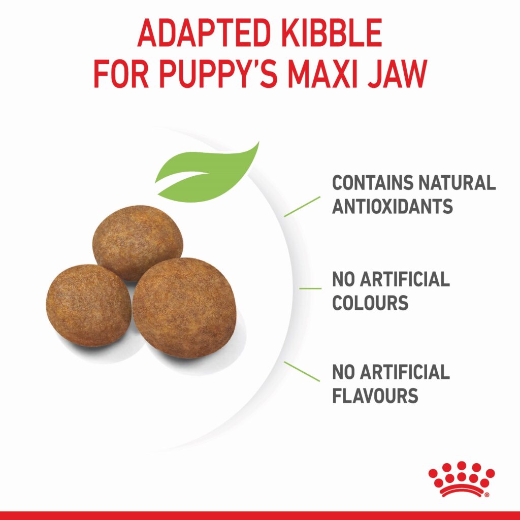 Royal Canin Dog Maxi Puppy