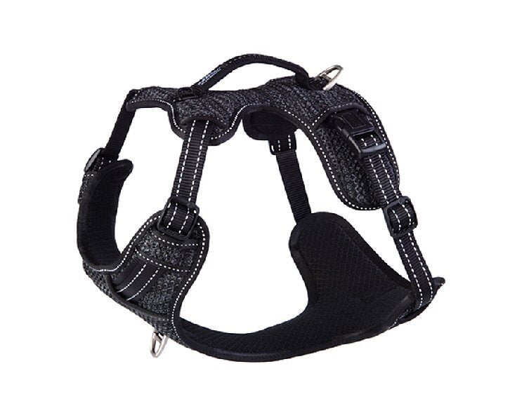 Explore Dog Harness Black SMALL