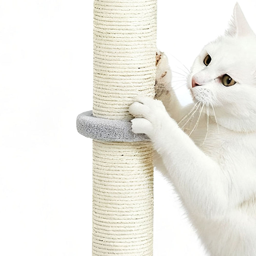 Pawz Cat Scratcher Scratching Post-1996005541633200132