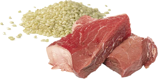 A1 Nutrition Protein Blend Lean 15kg