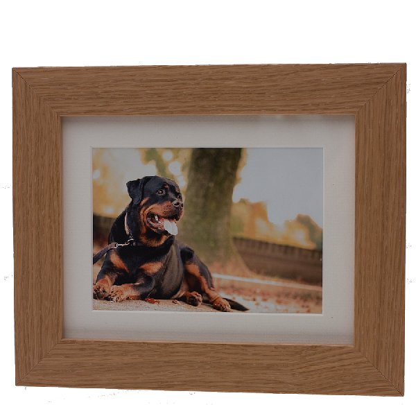 Tributes Pet Memorial Frame