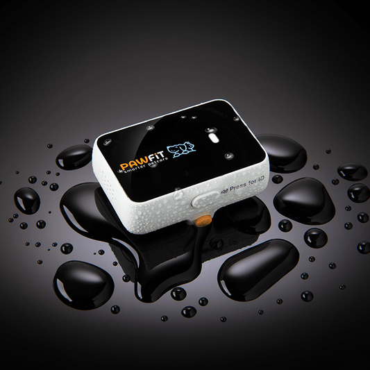 Pawfit 3 Tracker-1869883041959251969