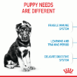 70315 - Royal Canin Dog Maxi Puppy