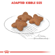 70318 - Royal Canin Mini Adult Food