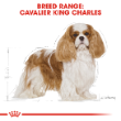 70392 - Royal Canin  Cavalier