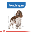 70521 - Royal Canin Light Weight