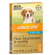 10981 - Advocate, Dogs 4 - 10 kg