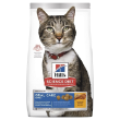 11032 - Hills Science Diet Cat Food