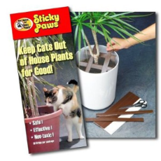 Sticky Paws for Plants