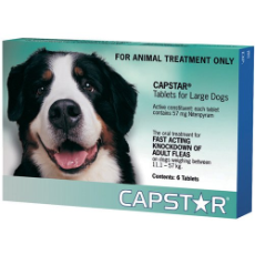 Capstar 57mg 6's Green - Large Dogs 6pack