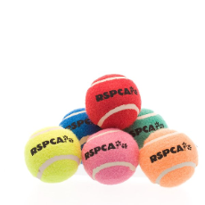 Coloured Tennis balls 6 Pack