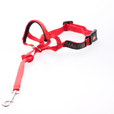 Halti Head Collar Red