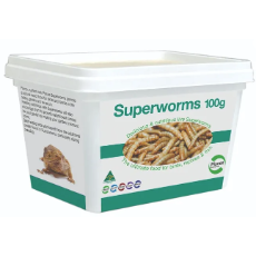 Superworms Tub 100g