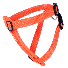 EzyDog Harness, Orange