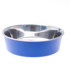 Stainless Steel Bowl Blue