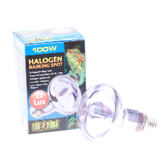 Halogen Reptile Daylight Lamp 100w