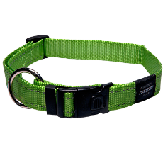 Dog Collar Utility Lime