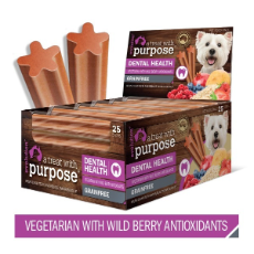 APT Dental Stick Vegetarian Wild Berry Antioxidants 20g Single