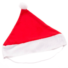 Pet Christmas Hat