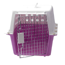 Airline Approved Carrier Purple