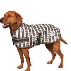 Dog Coat Earth Spots Chocolate And Blue Dots