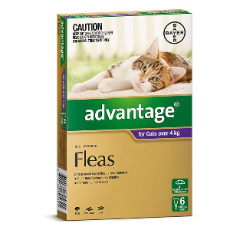 Advantage Cats Over 4 kg