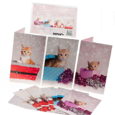 RSPCA Christmas Cards Cat Collection 10 Cards & Envelopes