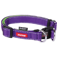 Active Dog Adjustable Collar Purple And Lime