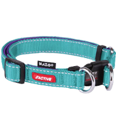 Active Dog Adjustable Collar Aqua And Purple