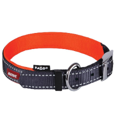 Active Nylon Dog Collar Slate And Orange