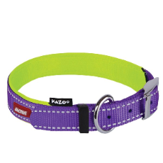 Active Nylon Dog Collar Purple And Lime