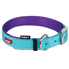Active Nylon Dog Collar Aqua And Purple