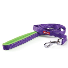 Active Nylon Dog Lead Purple And Lime